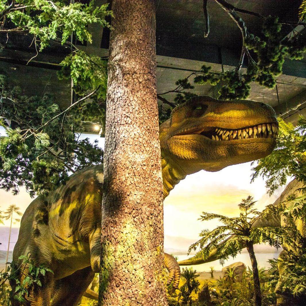 浙江自然博物院(杭州馆)2小时讲师深度讲解服务