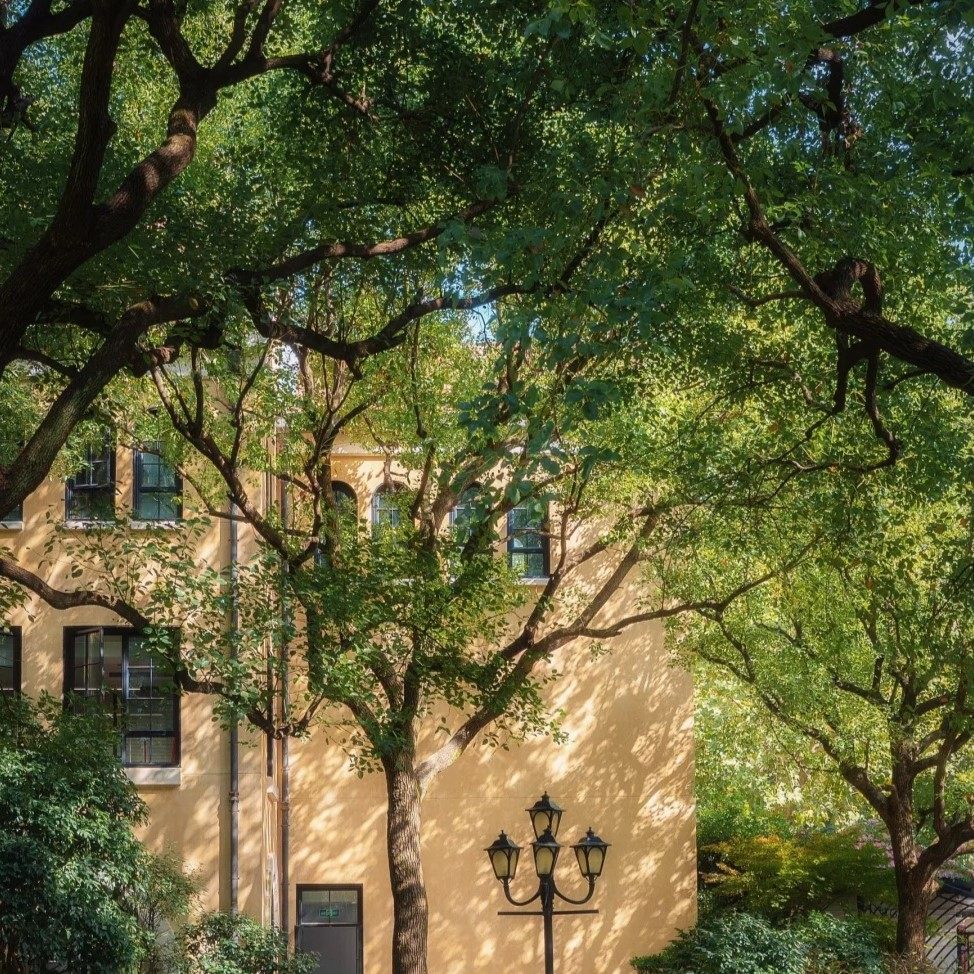 上海半日游|10人小团|思南路citywalk+老克勒特色2小时讲解服务