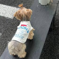 Cute Style Letter Print Dog Clothes Sleeveless Vest Schnauzer Bichon Teddy Small Dog Pet Clothing Summer