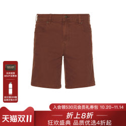 Dickies Shorts Casual Fashion Men's REVOLVE Brick Red