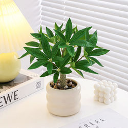Real Green Plants, Small Potted Money Tree, High-End Indoor Office Desk, Living Room Coffee Table, Artificial Flower Arrangement