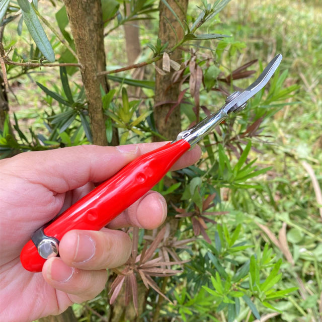 Citrus Pruning Shears Attachments Reference: Sagawada 911 Series Iron Handled Stainless Steel Pruning Shears For