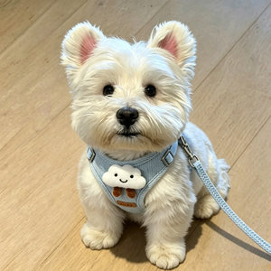 狗牵引绳胸背带小型犬可爱云朵胸背可调节西高地比熊宠物遛狗绳子