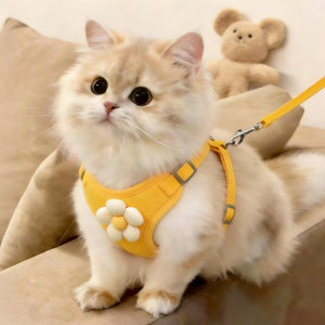 猫咪胸背工字背心德文猫幼猫专用溜猫牵引绳防挣脱外出专用不勒脖