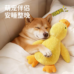 Dog Toy Boredom Buster, Plush Toy for Small and Large Dogs, Self-Entertaining, Sound-Making, Teeth-Grinding, Durable Chew Toy for Dogs