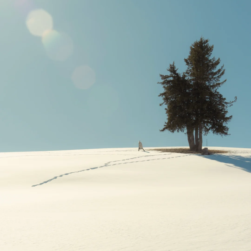 新疆旅游冬季阿勒泰禾木喀纳斯3天2晚跟团游无人机航拍禾木轻旅拍