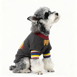 Pet Two-Legged Clothing for Small Dogs, Bichon Frise, Pomeranian, Handsome Schnauzer Dog Clothes, Spring and Autumn Style, Anti-Shedding T-Shirt