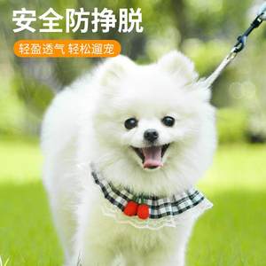 Cat led a rope cute chest strap walking dog walking rope teddy small dogs chain pet products dog rope
