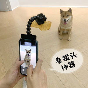 
Cat and dog selfie stick pet selfie photo shoot tool induce viewing camera food clip mobile phone stand toys