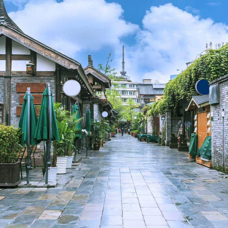 四川全景游8天7晚跟团游九寨沟黄龙峨眉山乐山大佛熊猫乐园青城山