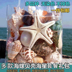 Natural Conch Shells, Starfish, Coral, Fish Tank, Aquarium Decoration, Window Display, Floor Stand, Home Decoration, Children's Toys, Gifts