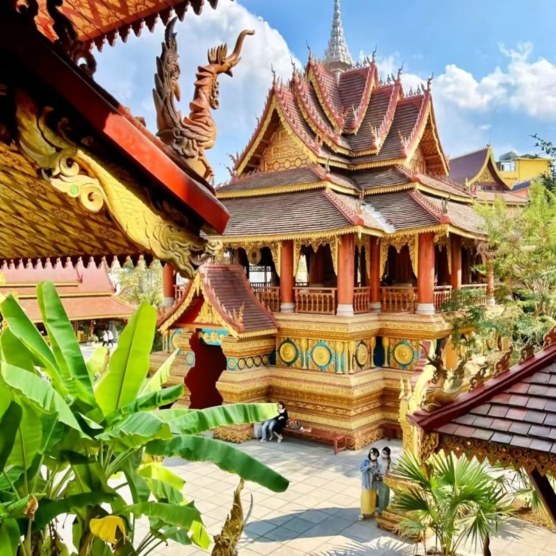 西双版纳 4天3晚一单一团野象谷原始森林公园大佛寺告庄星光夜市