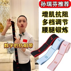 Sun Ruifen Recommends Digital Resistance Bands for Muscle Building, Durable Fitness Resistance Bands for Elderly Adults, Specifically for Dance Training