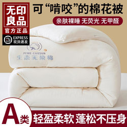 Muji Xinjiang Cotton Quilt Core Autumn and Winter Quilt Thickened Warm Student Dormitory Spring and Autumn Quilt Suitable for All Seasons