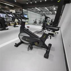 Dynamic Spinning Bike, Home-Use Exercise Bike, Indoor Exercise Bike, Weight Loss Gym Equipment