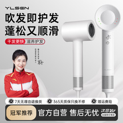 Yls Yuelangsen High-Speed Hair Dryer for Home Use, Negative Ion Hair Care, Strong Wind, Quick-Drying Hair Dryer, Official Genuine Product