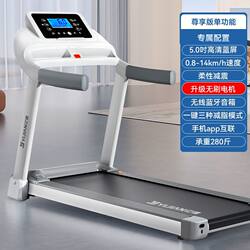 Yijian Treadmill for Home Use, Small Multi-Functional Gym-Specific Model for Weight Loss, Indoor Foldable and Adjustable