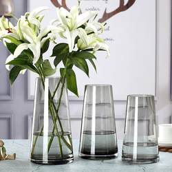 Light Luxury and High-End Nordic Glass Vase, Simple and Transparent, Suitable for Arranging Flowers Like Lucky Bamboo and Lilies, Dried Flowers, Living Room Decoration