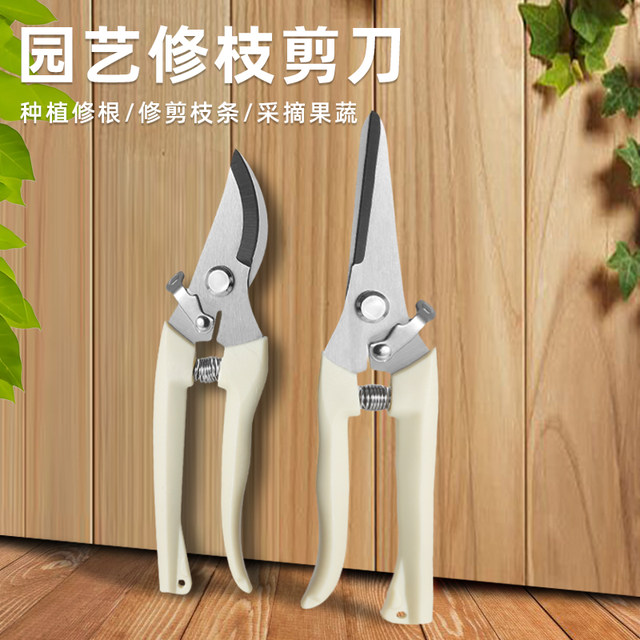 Gardening shears, pruning shears, flower shears, garden scissors, floral shears, branches, fruit tree scissors, branch shears, flower shears.