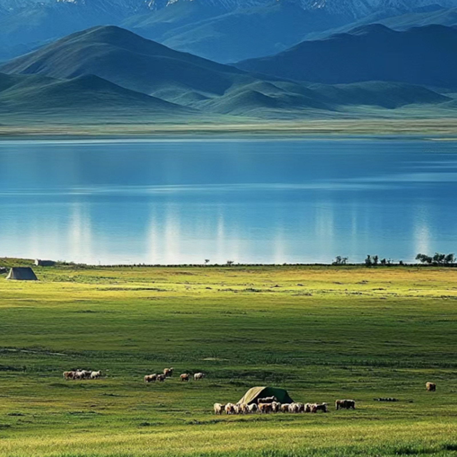 【观日出 赏蓝冰】海湖茶卡盐湖一日游8人小团新车上门接送