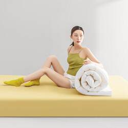 Class a Maternal and Infant Five-Star Hotel Antibacterial Mattress, Feather Velvet Mattress, Non-Slip Mat, Soft Cushion