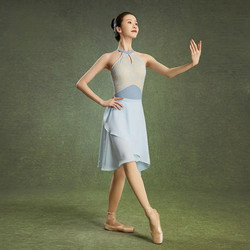 Ballet Practice Clothes, Dance Student Exam Body Suit, Basic Training Gymnastics Lace High-End Halter Neck One-Piece Suit