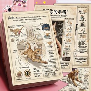 
12 large sheets of new cat behavior analysis illustration series stickers, pet feeding habits knowledge, carefully selected stickers