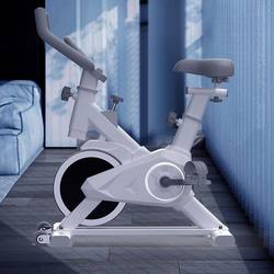 Xinjiang Free Shipping Spinning Bike for Home Use, Indoor Exercise Bike, Gym-Specific Sports Equipment, Small Pedal Bike