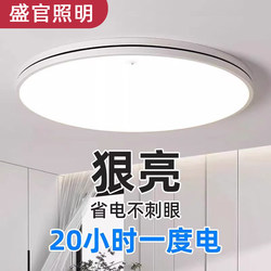 2025 New Model Led Ceiling Light for Room, Bedroom, Living Room, Hall, Modern Simple and Elegant Zhongshan Lighting Fixtures