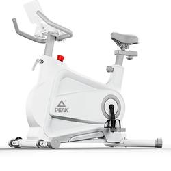 Magnetic Control Smart Spinning Bike for Home Use, Indoor Fitness Bike, Gym Equipment, Weight Loss, Silent Exercise Bike