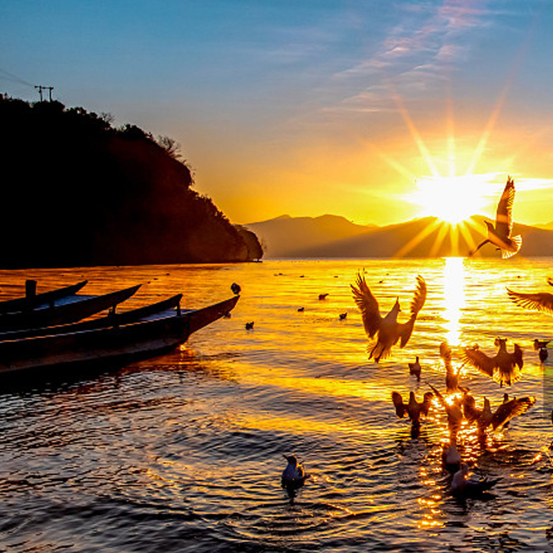 【8人纯玩小团·含机票】昆明+丽江+大理5日双飞游,雪山洱海旅拍