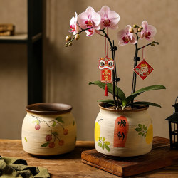 Jingdezhen Ceramic Flower Pot for Home Use, Vintage Small Flower Vessel, Fortune Tree Clay Pot, Chinese-Style Phalaenopsis Orchid Pot