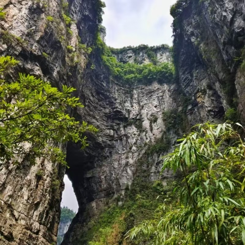 武隆仙女山+天生三桥风景区一日游*包车游含门票*拍一单为一车
