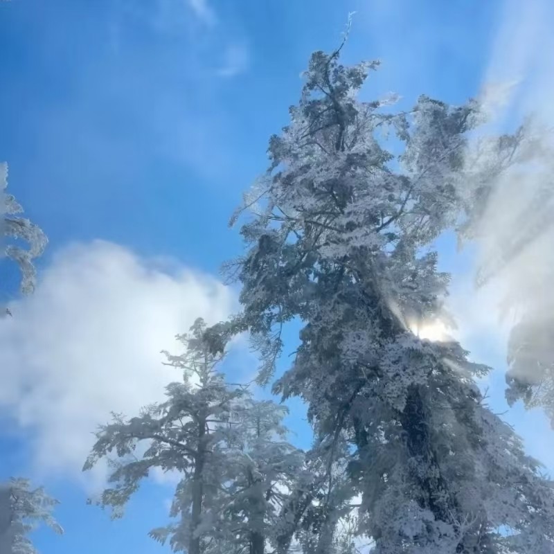 瓦屋山一日游&包车游带司机&独立出行&三环内接送