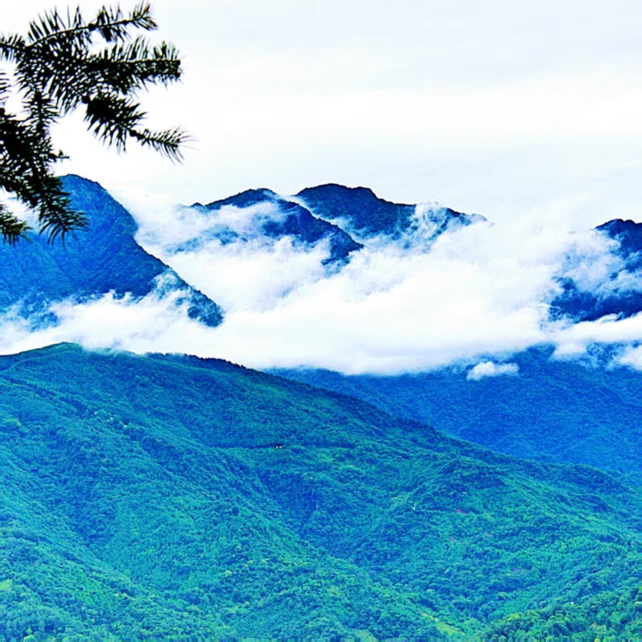 青城山+熊猫乐园&亲子游&纯享私家团&包车游&含景区首道门票