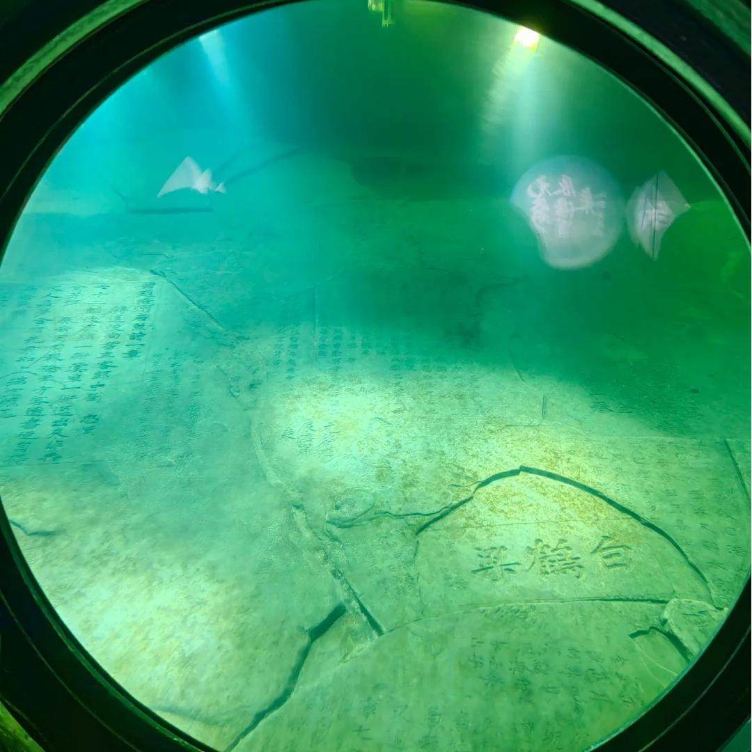 白鹤梁水下博物馆/816工程景区/乌江画廊(涪陵段)一日游&2-8人