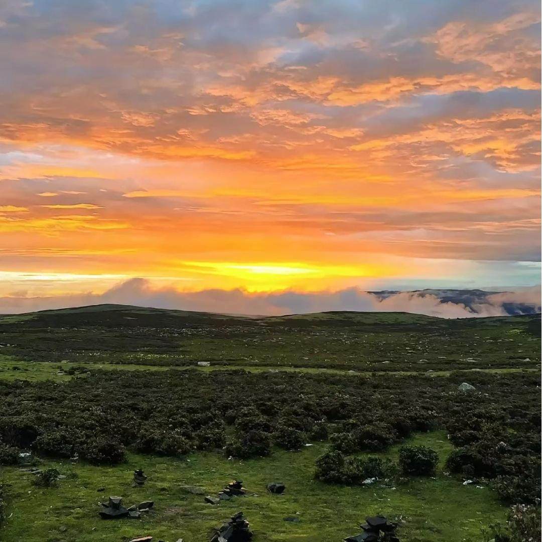 稻城亚丁/四姑娘山/墨石公园/鱼子西/5天4晚 - 跟团游 纯玩小团