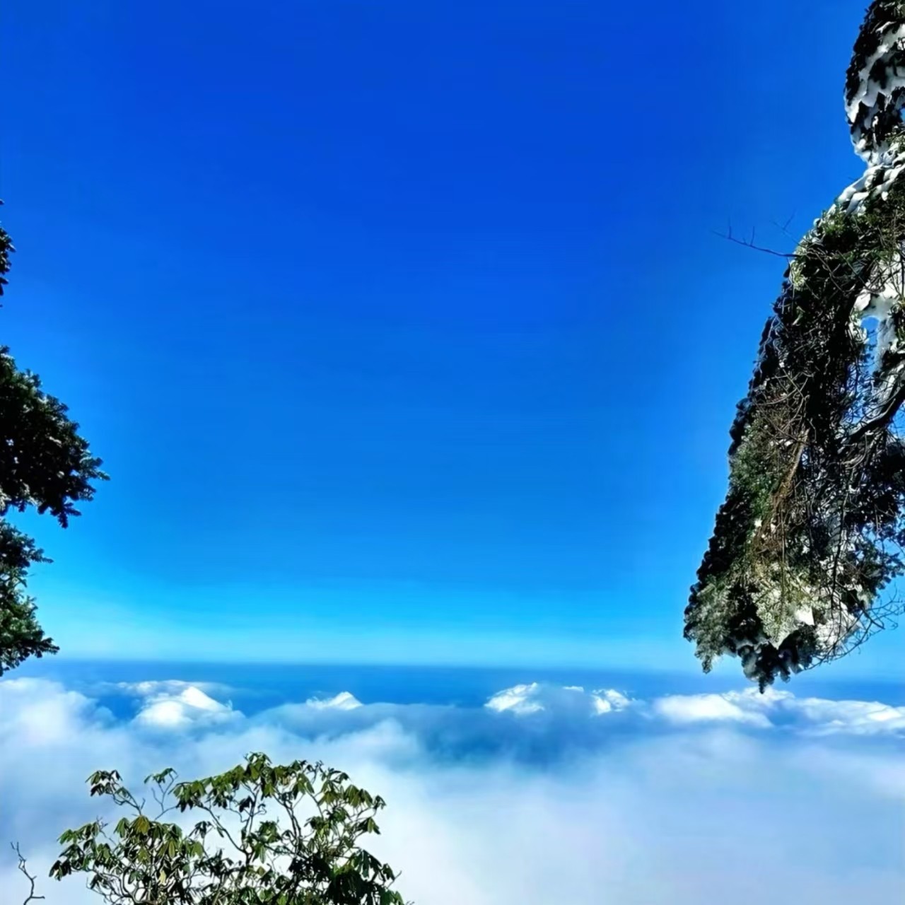 瓦屋山一日游*尊享私家团&不拼车&含门票金花桥索道往返票&纯玩