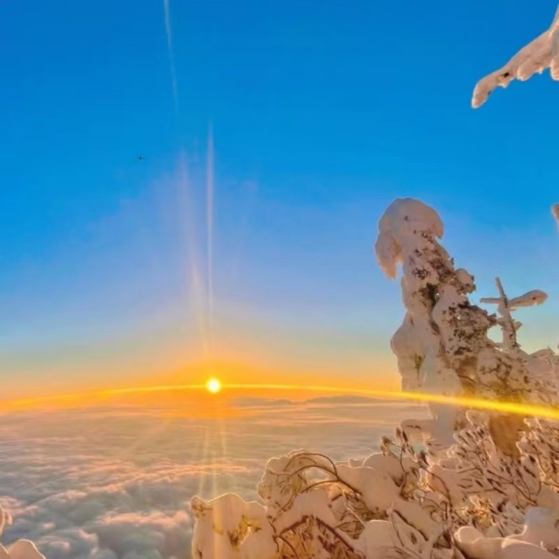 瓦屋山一日游*尊享私家团&不拼车&含门票金花桥索道往返票&纯玩