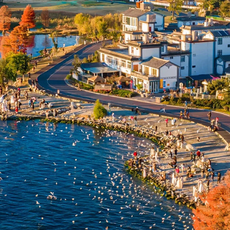 8人mini小团 | 5天0购物云南旅游大理丽江玉龙雪山洱海古城赠旅拍