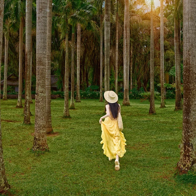 10天纯玩| 云南旅游明大理丽江西双版纳雪山植物园野象谷海边客栈