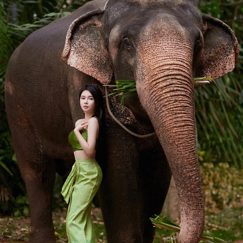 2+1保姆车 | 100%无购物 云南西双版纳旅游野象谷大佛寺傣族园5天