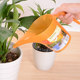 Japan imported plastic watering kettle pouring flower pot garden bonsai bonsai sprinkled kettle sharp mouth gardening kettle
