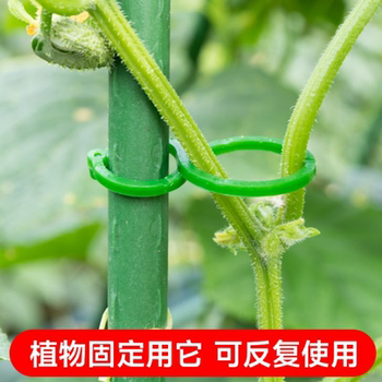 Gardening 8-character buckle plant bundling tie cucumber eggplant fixing clip plastic garden green plant vine clip gourd circle