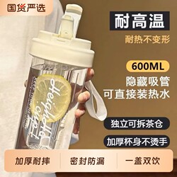 Summer Portable Water Cup, High-Looking Fruit Tea Cup, Sports Straw Water Bottle with Tea Compartment, High Temperature Resistant Student Water Cup for School