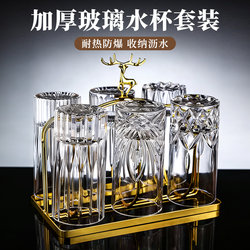 Embossed Glass Cup Set, High-End, Household, High-Temperature Resistant Tea Cup, Special for Living Room, Hospitality Cup, Large-Capacity Water Cup