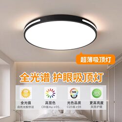 2026 New Led Ceiling Light, Simple and Modern, Master Bedroom Light, Room Corridor, Kitchen, Balcony, Aisle Lighting Fixtures