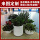 
FRP set of cylindrical flower pots, shopping mall floor-standing round basins, dragon cylinders, resin products, interior decoration, gardening and home furnishings