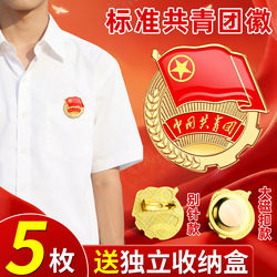 Official Standard Version of the China Communist Youth League Emblem, New 2026 Magnetic Pin Badge, Magnetic Button, School Railway Student Membership Badge, 2cm, Centrally Supervised Standard Version