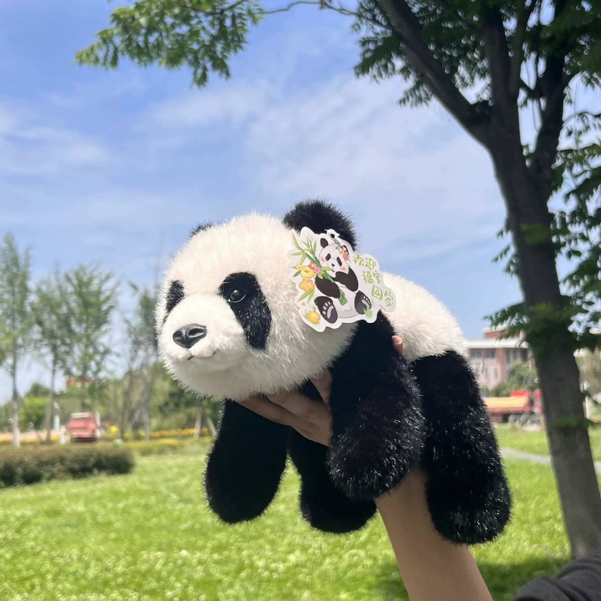 【レア品！新品・未使用品】和花ちゃん視点の限定品写真集「大熊猫的朋友圏」 四川正版花花熊猫背发财苹果毛绒玩具成都纪念品周边成都基地